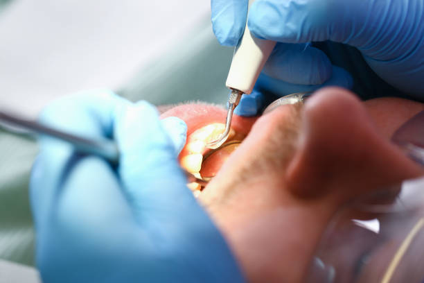 Best Emergency Pediatric Dental Care in Lynchburg, TN